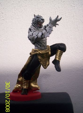 Tigre Kung Fu